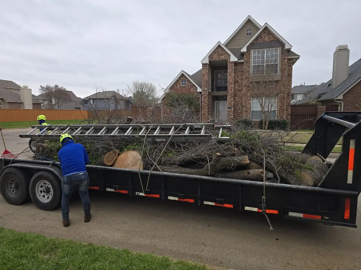 Expert Lot Clearing with proper safety equipment in Jennings